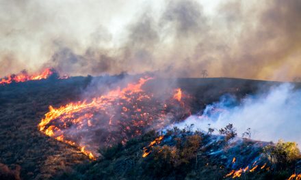 亨利·沙因赈灾热线为受加州火灾影响的客户开放